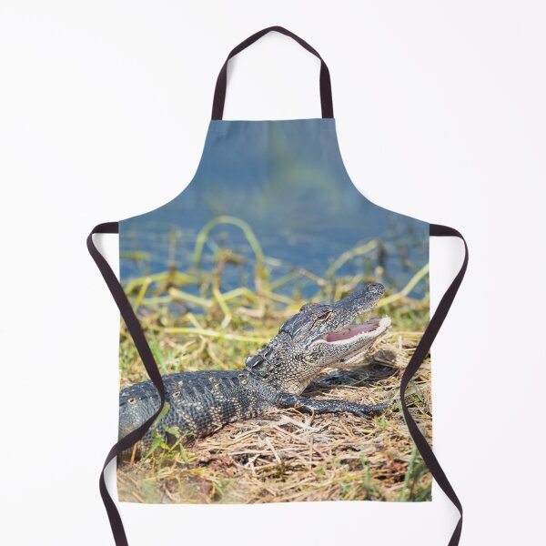 Item preview, young alligator sunning in Florida wetland. designed and sold by svetlanna.