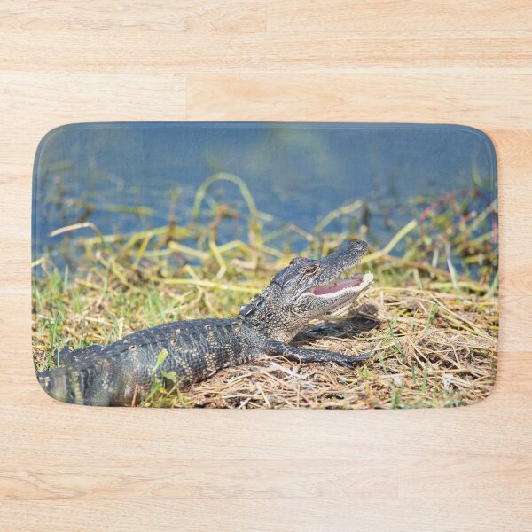 Item preview, young alligator sunning in Florida wetland. designed and sold by svetlanna.