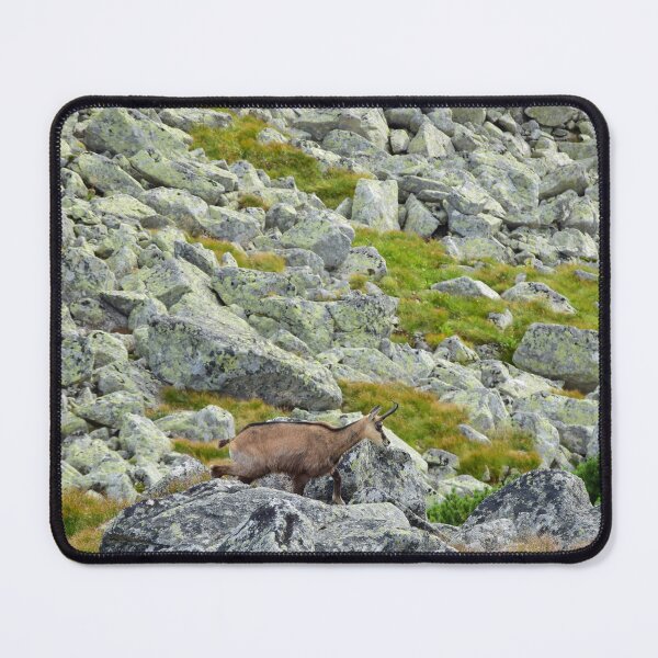 Item preview, Tatra chamois/mountain goat designed and sold by The Wolfness Photography.