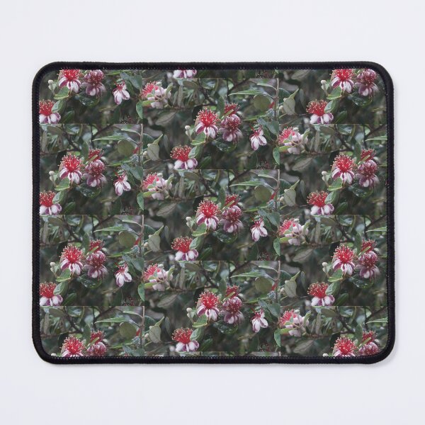 Item preview, Feijoa flower at Magpie Springs by South Australian artist Avril Thomas designed and sold by MagpieSprings.