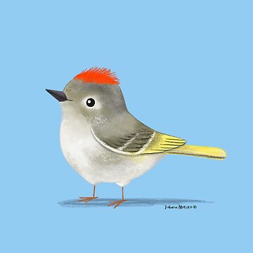 Artwork thumbnail, Ruby Crowned Kinglet bird by julianamotzko