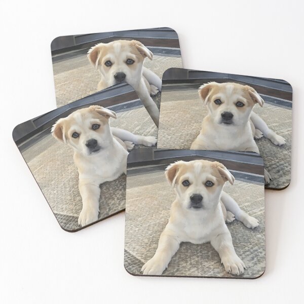 Item preview, Cuteness Puppy Overload  designed and sold by PandLcreations.