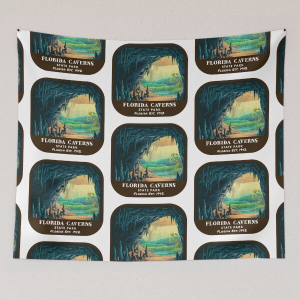 Item preview, Vintage Florida Caverns State Park (Florida State Park) designed and sold by RabbitK.