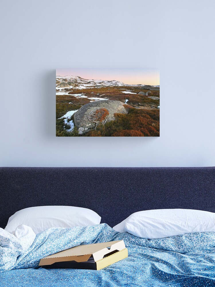 Thumbnail 2 of 3, Canvas Print, Wind swept valley, Kosciuszko Nat. Park, Australia designed and sold by Chockstone.