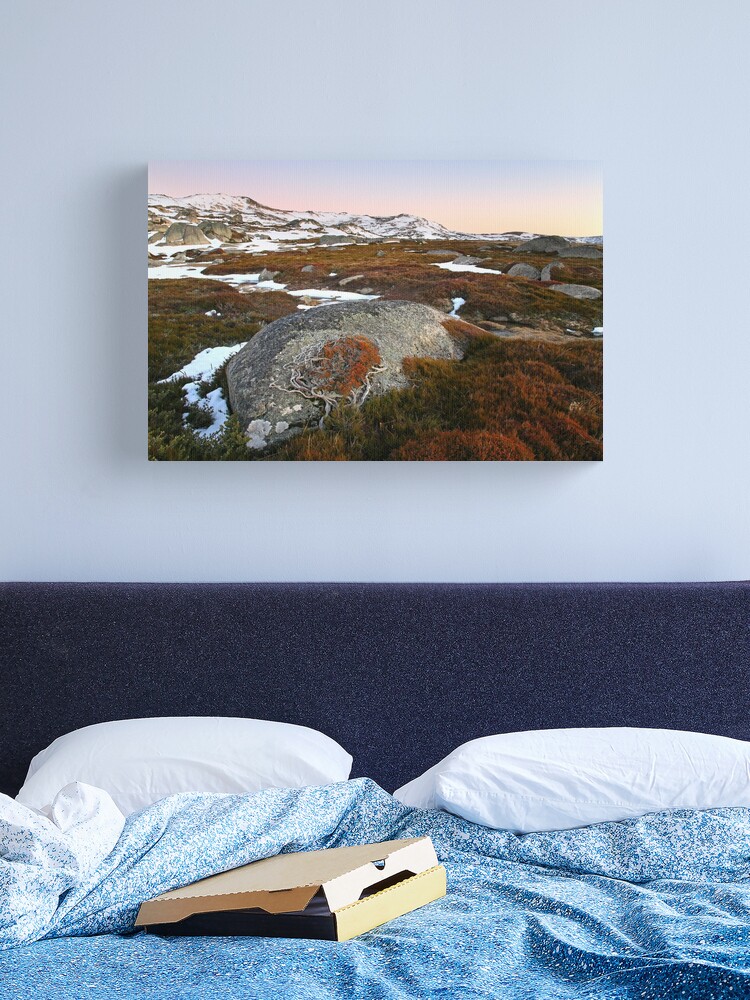 Thumbnail 2 of 3, Canvas Print, Wind swept valley, Kosciuszko Nat. Park, Australia designed and sold by Chockstone.