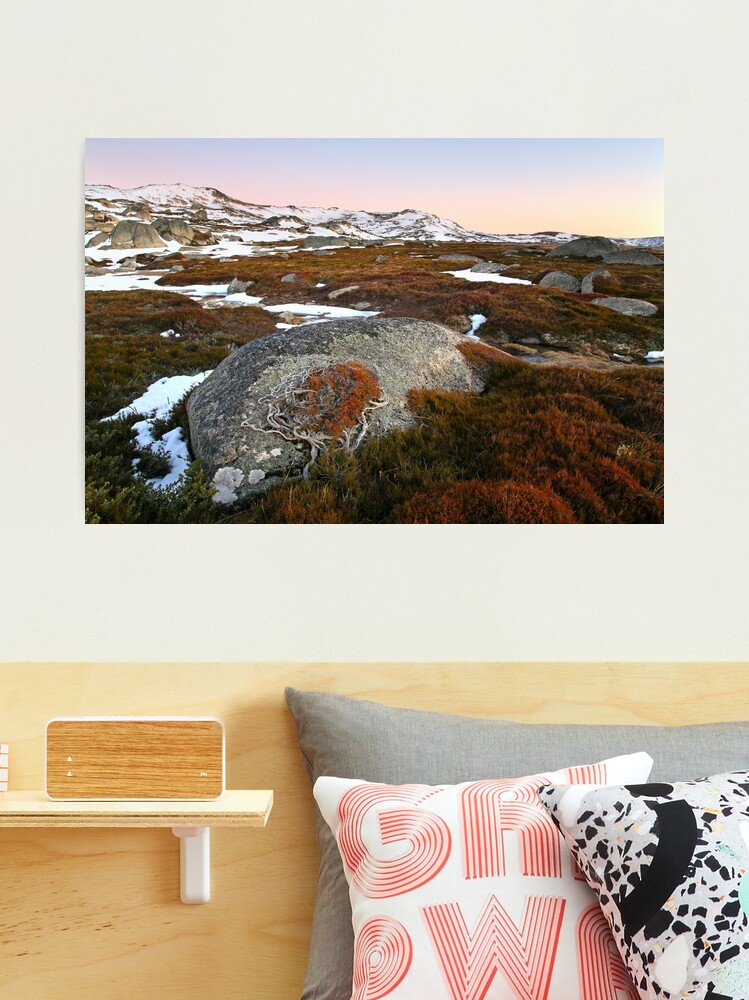 Thumbnail 2 of 3, Photographic Print, Wind swept valley, Kosciuszko Nat. Park, Australia designed and sold by Chockstone.