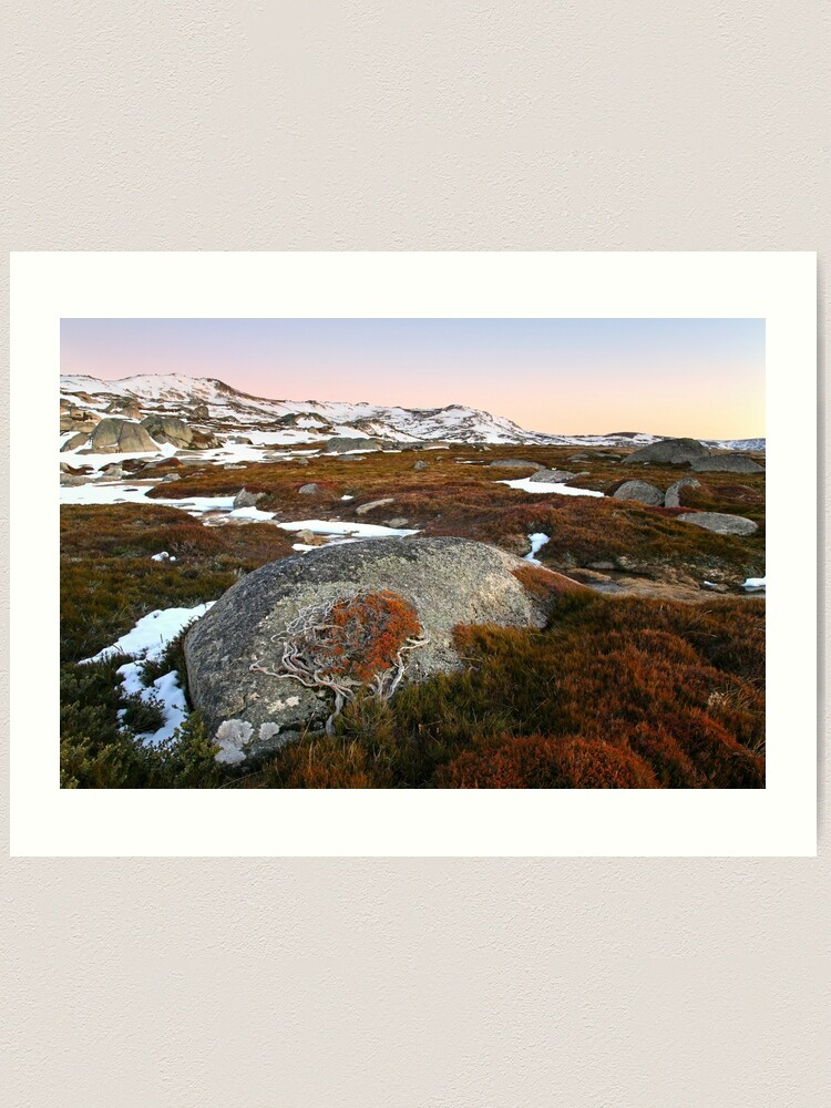 Thumbnail 1 of 3, Art Print, Wind swept valley, Kosciuszko Nat. Park, Australia designed and sold by Chockstone.