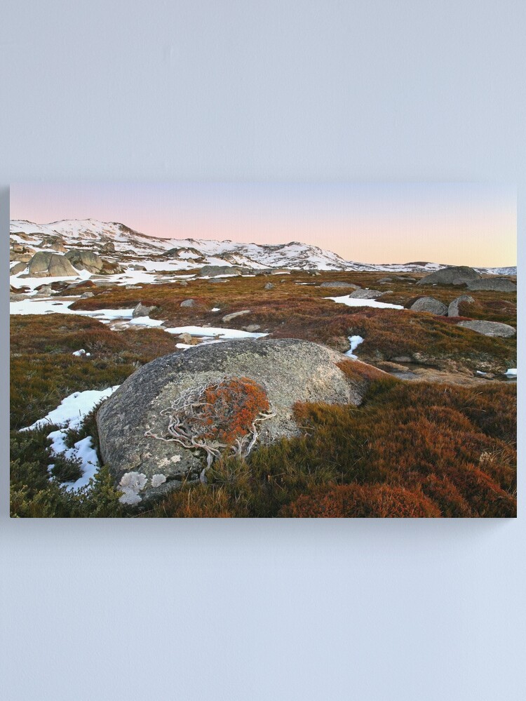 Thumbnail 1 of 3, Canvas Print, Wind swept valley, Kosciuszko Nat. Park, Australia designed and sold by Chockstone.