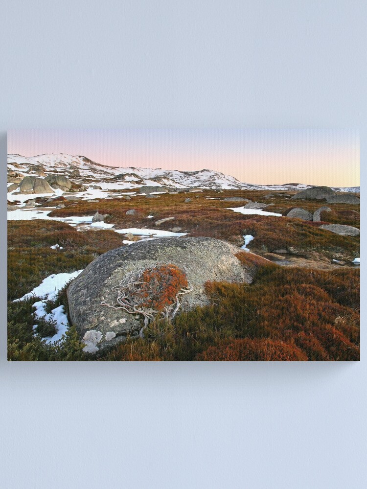 Thumbnail 1 of 3, Canvas Print, Wind swept valley, Kosciuszko Nat. Park, Australia designed and sold by Chockstone.