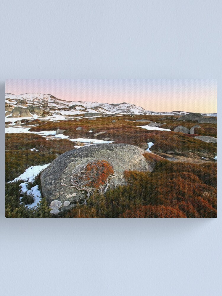 Thumbnail 1 of 3, Canvas Print, Wind swept valley, Kosciuszko Nat. Park, Australia designed and sold by Chockstone.