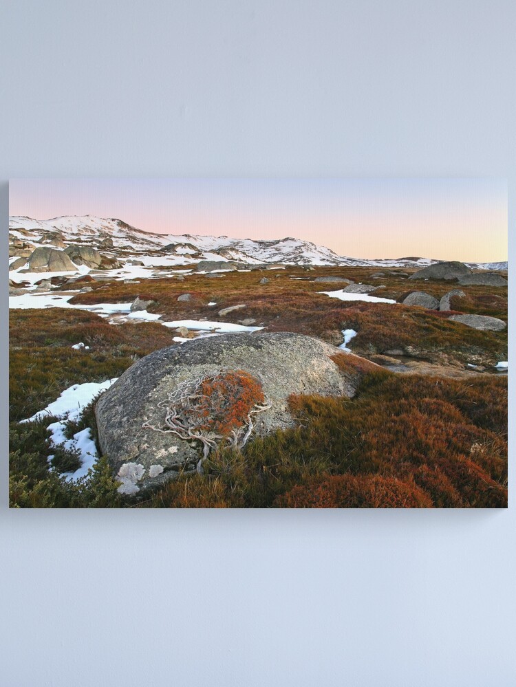 Thumbnail 1 of 3, Canvas Print, Wind swept valley, Kosciuszko Nat. Park, Australia designed and sold by Chockstone.