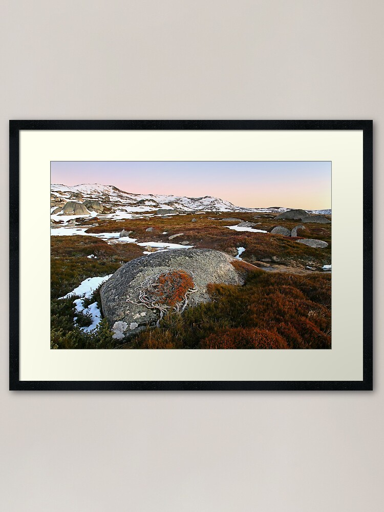 Thumbnail 2 of 7, Framed Art Print, Wind swept valley, Kosciuszko Nat. Park, Australia designed and sold by Chockstone.