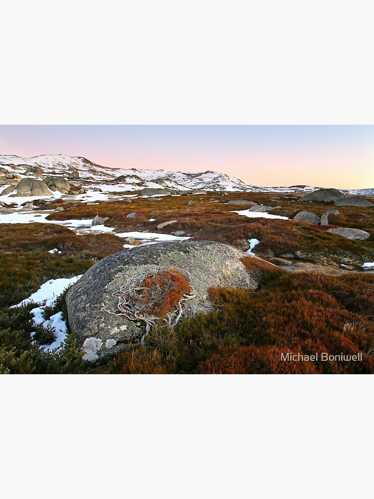 Thumbnail 3 of 3, Canvas Print, Wind swept valley, Kosciuszko Nat. Park, Australia designed and sold by Chockstone.
