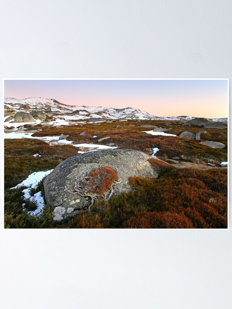 Thumbnail 2 of 3, Poster, Wind swept valley, Kosciuszko Nat. Park, Australia designed and sold by Chockstone.