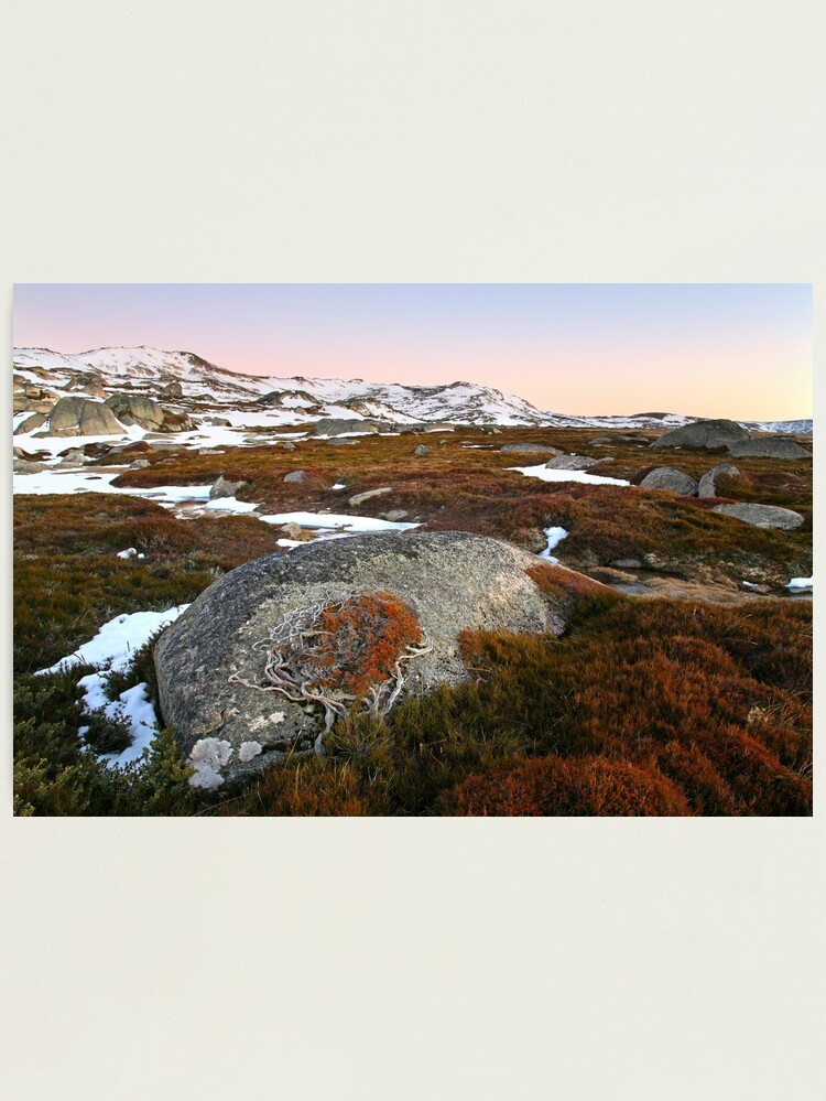 Thumbnail 2 of 3, Photographic Print, Wind swept valley, Kosciuszko Nat. Park, Australia designed and sold by Chockstone.