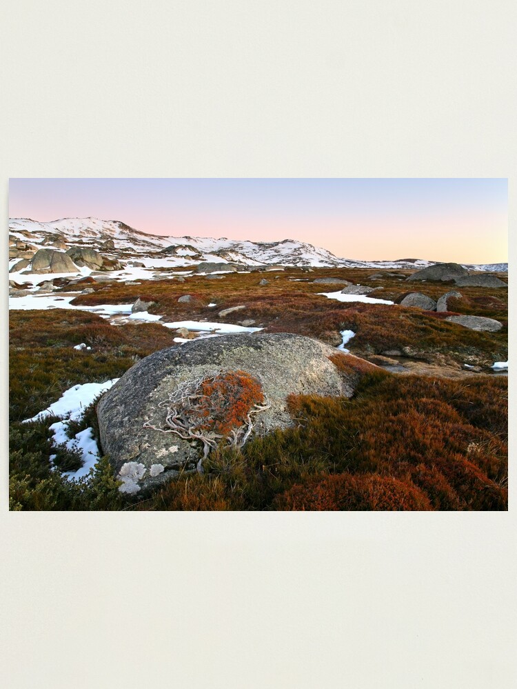 Thumbnail 2 of 3, Photographic Print, Wind swept valley, Kosciuszko Nat. Park, Australia designed and sold by Chockstone.