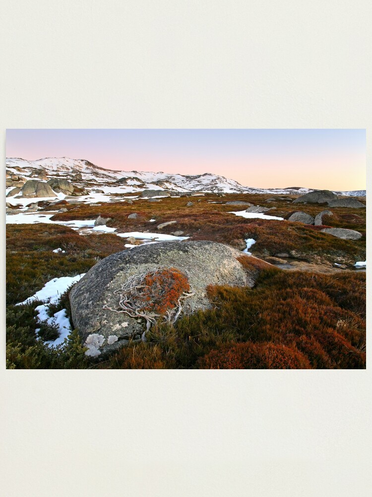 Thumbnail 1 of 3, Photographic Print, Wind swept valley, Kosciuszko Nat. Park, Australia designed and sold by Chockstone.