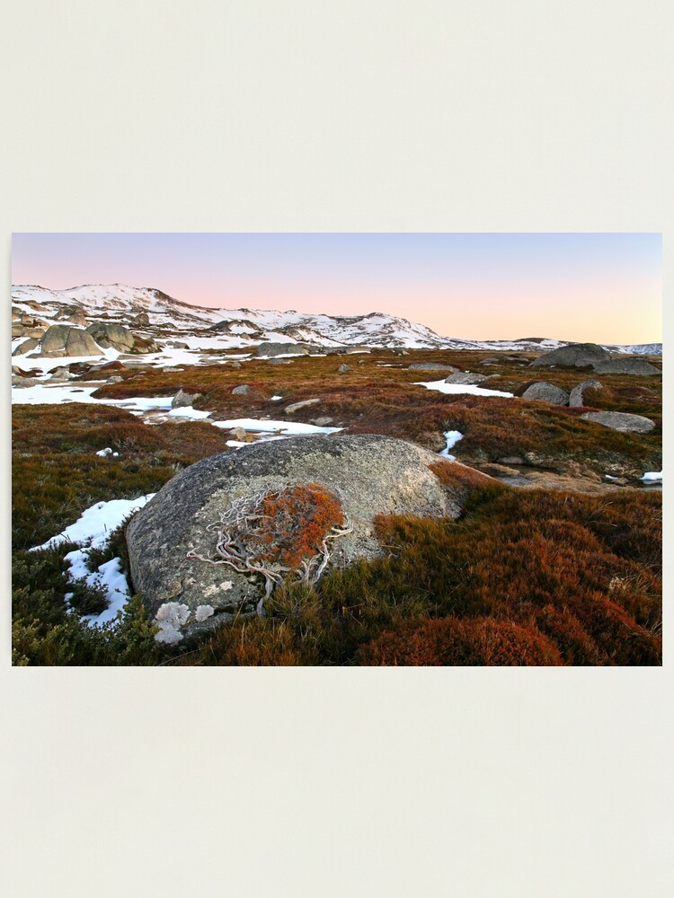 Thumbnail 1 of 3, Photographic Print, Wind swept valley, Kosciuszko Nat. Park, Australia designed and sold by Chockstone.
