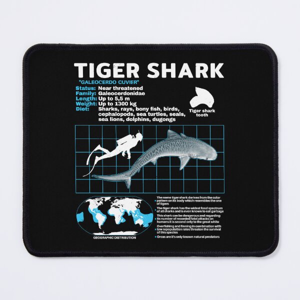 Item preview, Tiger Shark Datasheet designed and sold by NicGrayGraphic.