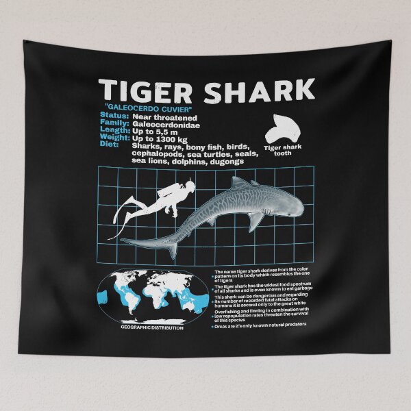 Item preview, Tiger Shark Datasheet designed and sold by NicGrayGraphic.
