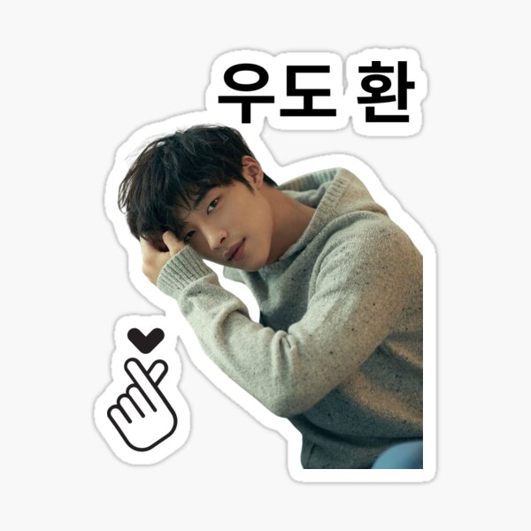 Artikel-Vorschau von Saranghae 우도 환 Woo Do Hwan, designt und verkauft von K-Oppa America.