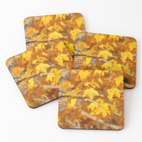 Item preview, Fall designed and sold by Parks and X.