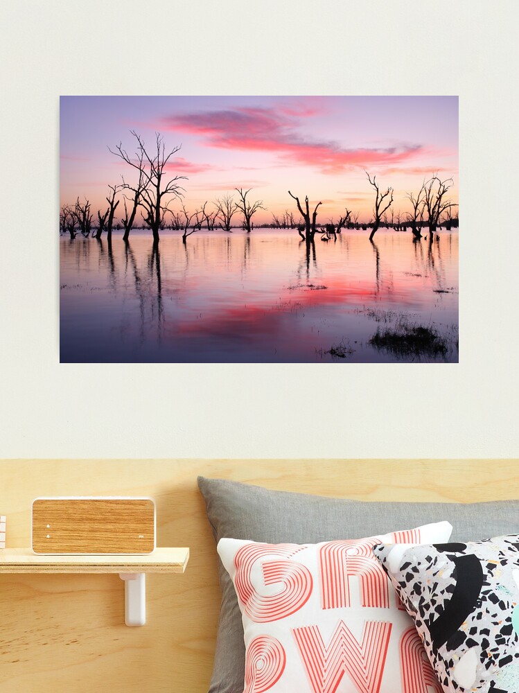 Thumbnail 1 of 3, Photographic Print, Lake Victoria Dawn, Australia designed and sold by Chockstone.