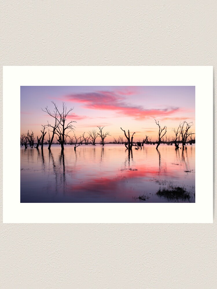 Thumbnail 1 of 3, Art Print, Lake Victoria Dawn, Australia designed and sold by Chockstone.
