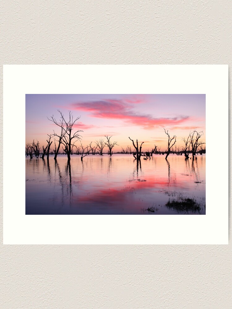 Thumbnail 1 of 3, Art Print, Lake Victoria Dawn, Australia designed and sold by Chockstone.