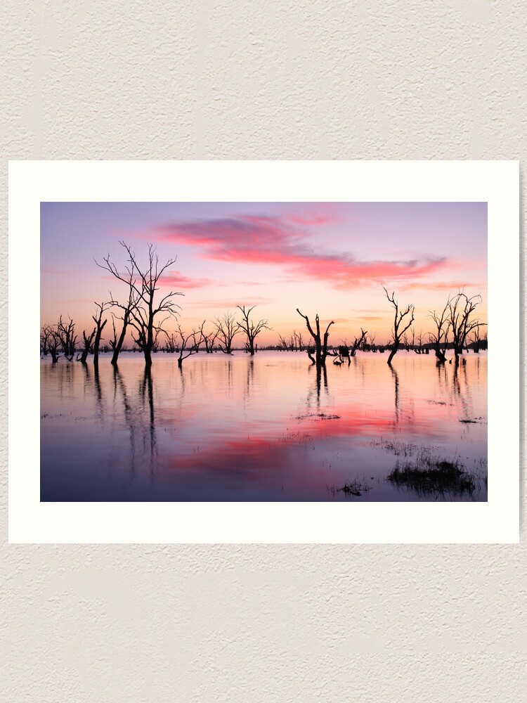 Thumbnail 1 of 3, Art Print, Lake Victoria Dawn, Australia designed and sold by Chockstone.