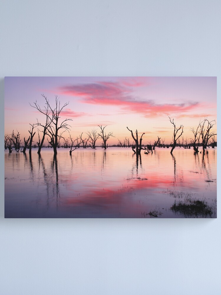 Thumbnail 2 of 3, Canvas Print, Lake Victoria Dawn, Australia designed and sold by Chockstone.