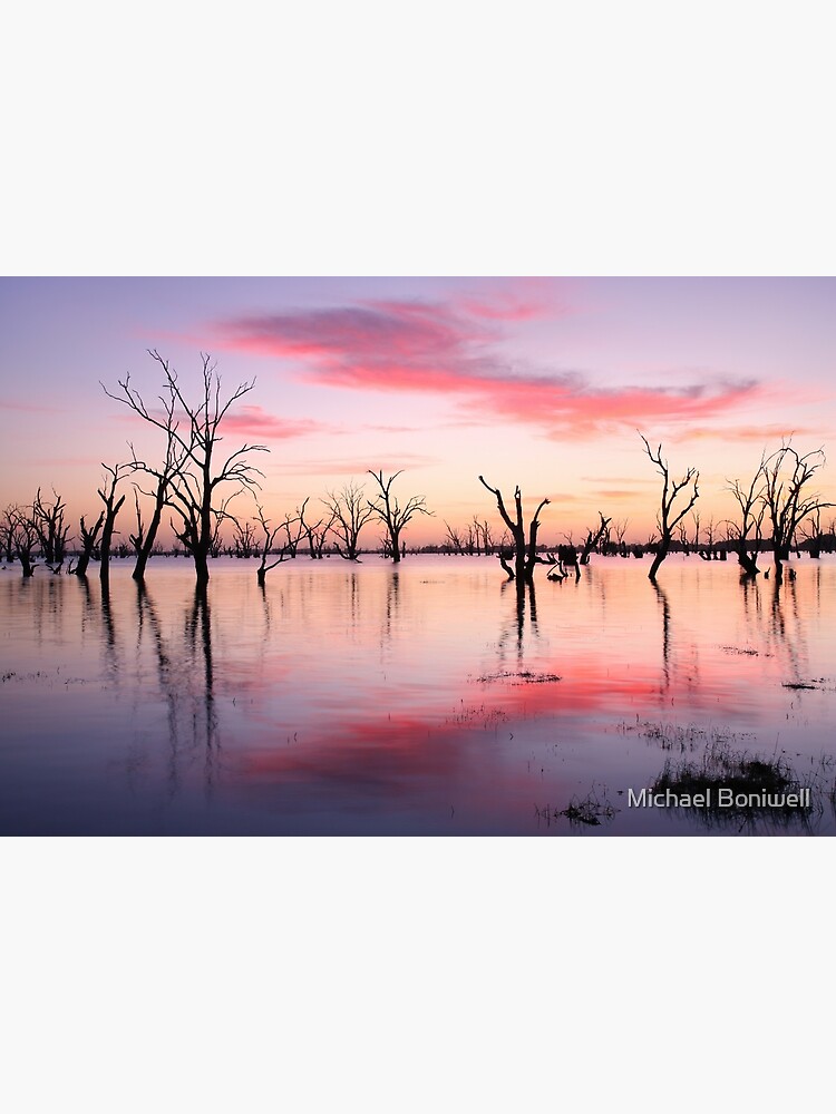 Thumbnail 2 of 2, Postcard, Lake Victoria Dawn, Australia designed and sold by Chockstone.