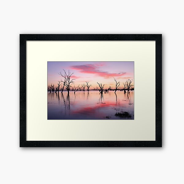 Framed Art Print