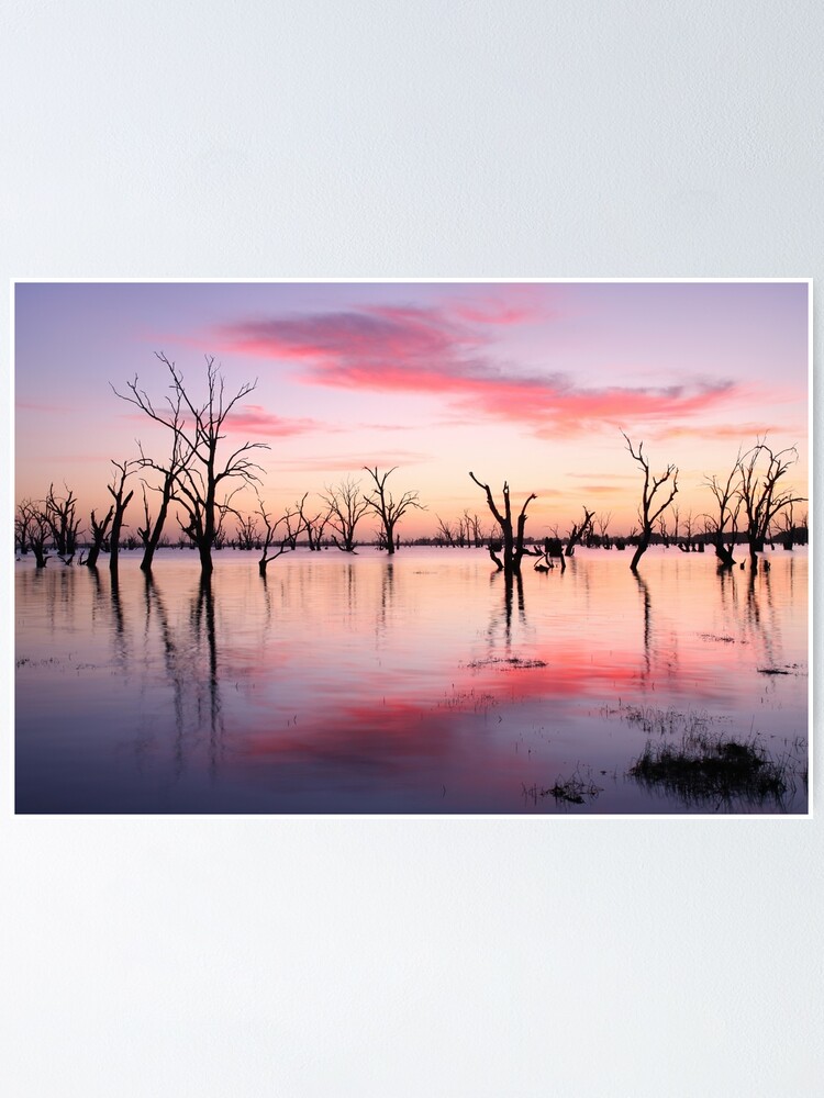 Thumbnail 1 of 3, Poster, Lake Victoria Dawn, Australia designed and sold by Chockstone.
