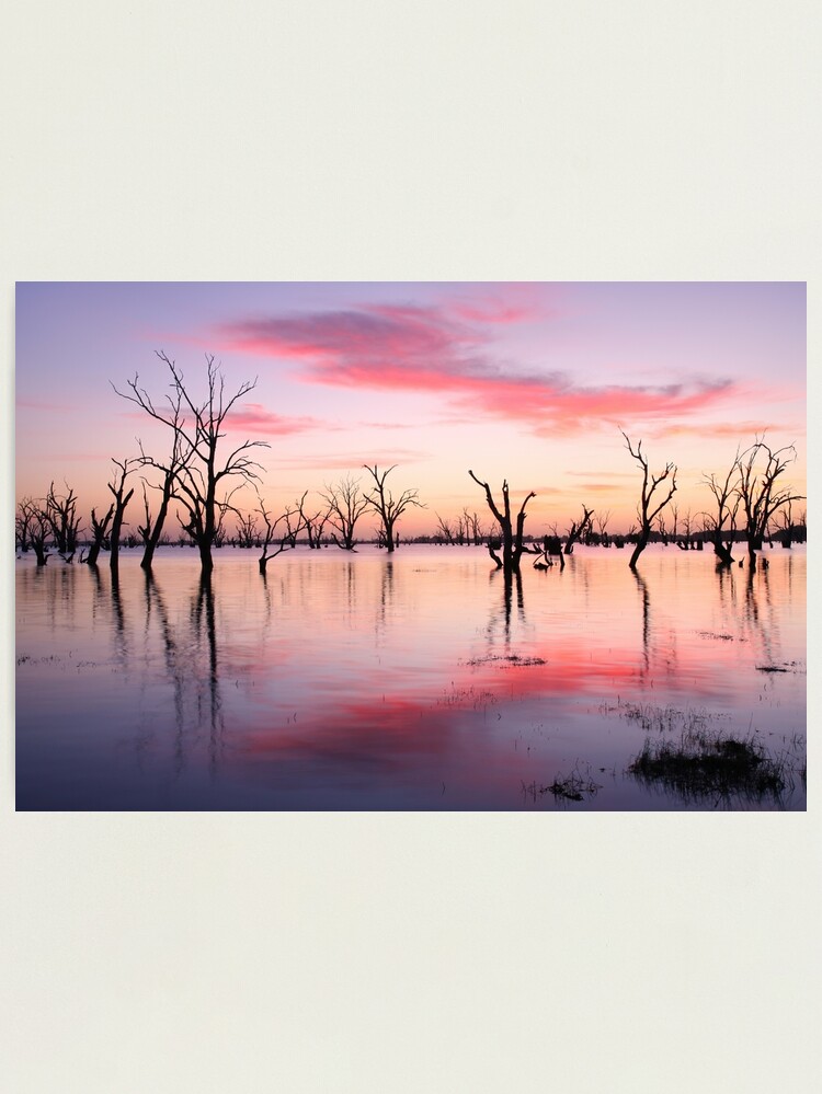 Thumbnail 1 of 3, Photographic Print, Lake Victoria Dawn, Australia designed and sold by Chockstone.