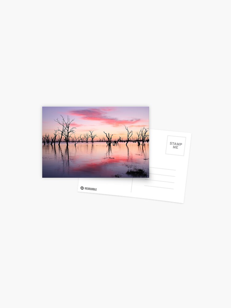 Thumbnail 1 of 2, Postcard, Lake Victoria Dawn, Australia designed and sold by Chockstone.