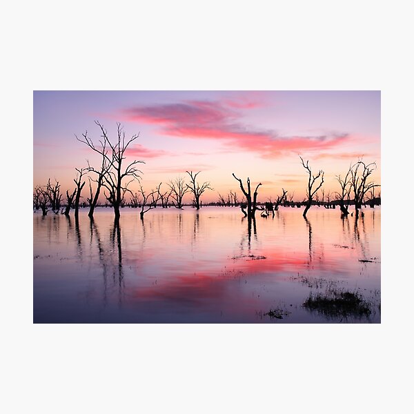Photographic Print