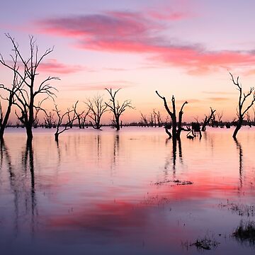 Artwork thumbnail, Lake Victoria Dawn, Australia by Michael Boniwell