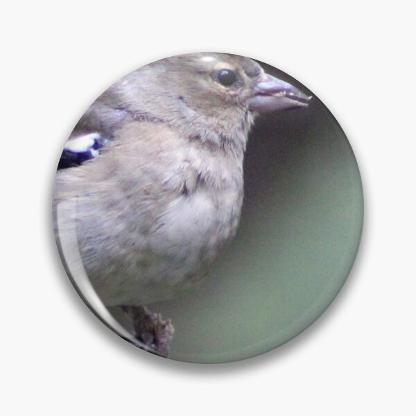 Item preview, chaffinch designed and sold by KathleenDawson.