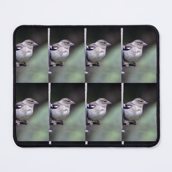 Item preview, chaffinch designed and sold by KathleenDawson.