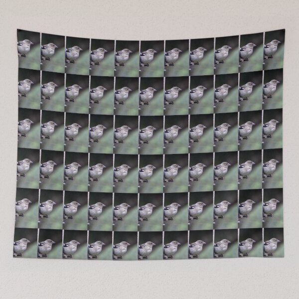 Item preview, chaffinch designed and sold by KathleenDawson.