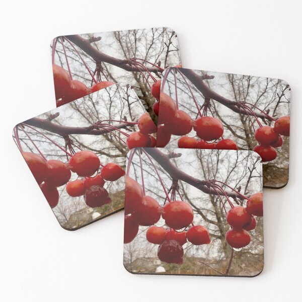 Item preview, Last Crabapples of the Season designed and sold by Betsy Phillips.