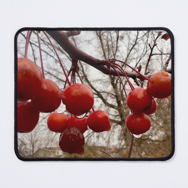 Item preview, Last Crabapples of the Season designed and sold by Betsy Phillips.