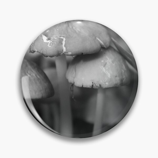 Item preview, Fairy Ring Of Mushrooms designed and sold by MercerImages.