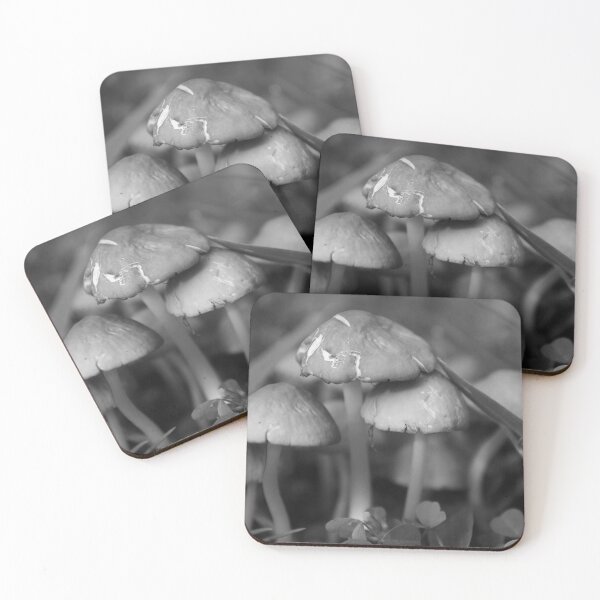 Item preview, Fairy Ring Of Mushrooms designed and sold by MercerImages.