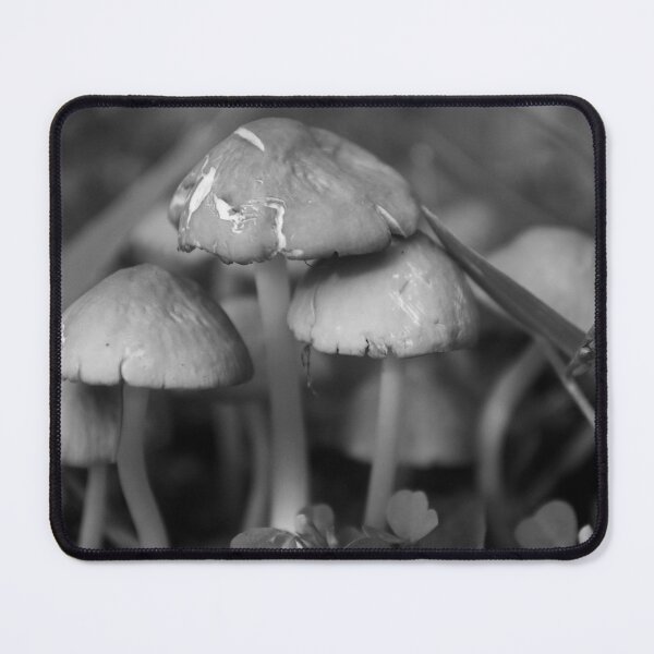 Item preview, Fairy Ring Of Mushrooms designed and sold by MercerImages.