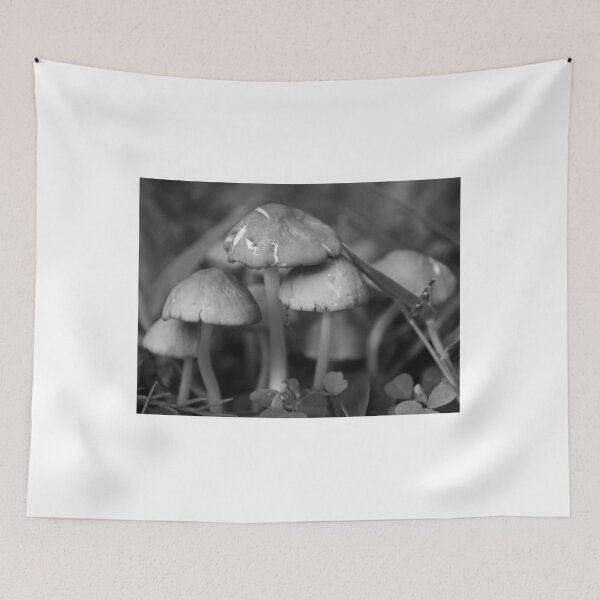 Item preview, Fairy Ring Of Mushrooms designed and sold by MercerImages.