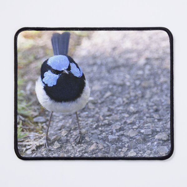 Item preview, Sweet little Superb Fairy-Wren designed and sold by imaginethis.