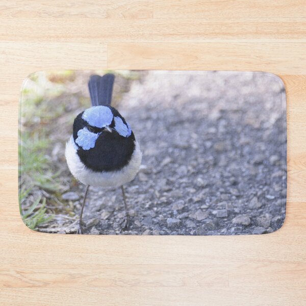 Item preview, Sweet little Superb Fairy-Wren designed and sold by imaginethis.