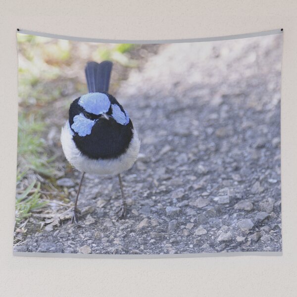 Item preview, Sweet little Superb Fairy-Wren designed and sold by imaginethis.